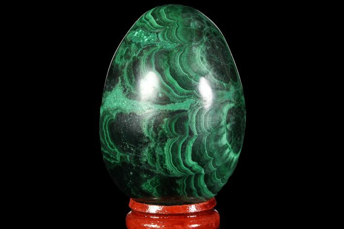 Polished Malachite Egg - Congo #89644